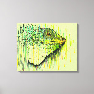 Iguana Canvas Print