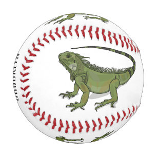 Iguana cartoon illustration baseball