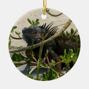 Iguana Ceramic Tree Decoration
