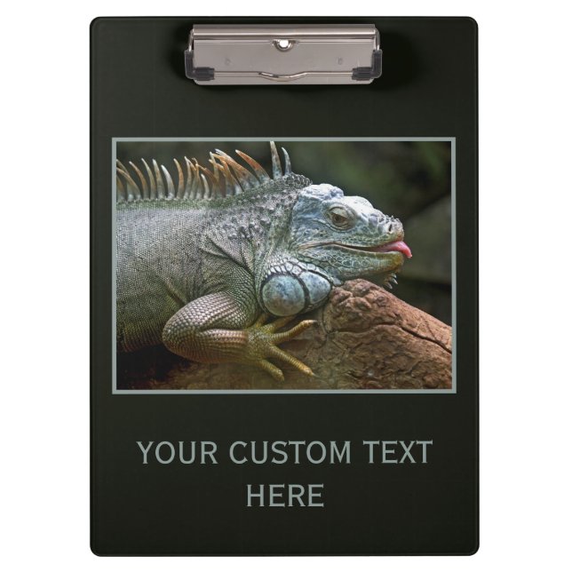 Iguana custom clipboard (Front)