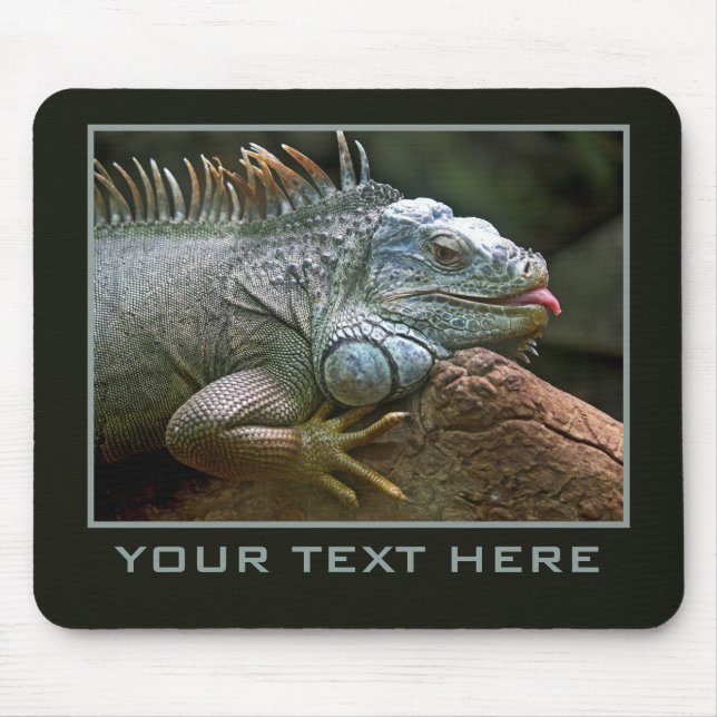 Iguana custom mousepad (Front)