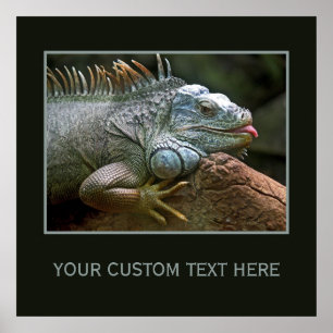 Iguana custom poster