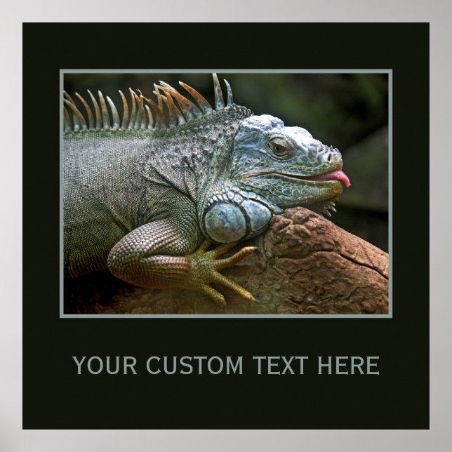 Iguana custom poster (Front)