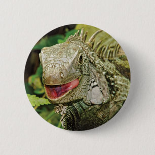 Iguana green 6 cm round badge