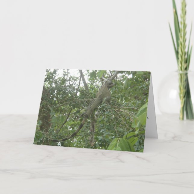 iguana greeting card (slimming version) (Front)