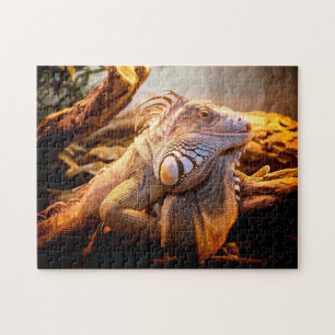Iguana Head Close-up, Jigsaw Puzzle
