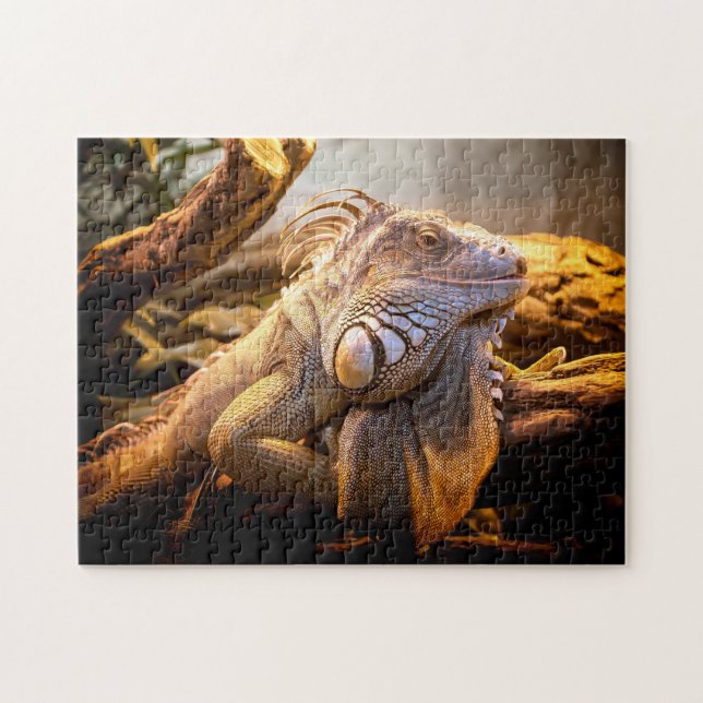 Iguana Head Close-up, Jigsaw Puzzle (Horizontal)