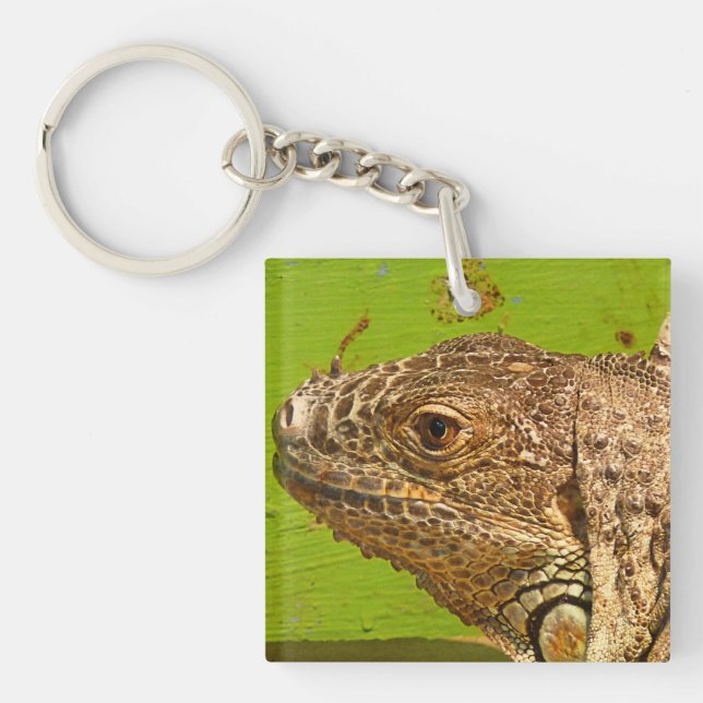 IGUANA KEY RING (Front)