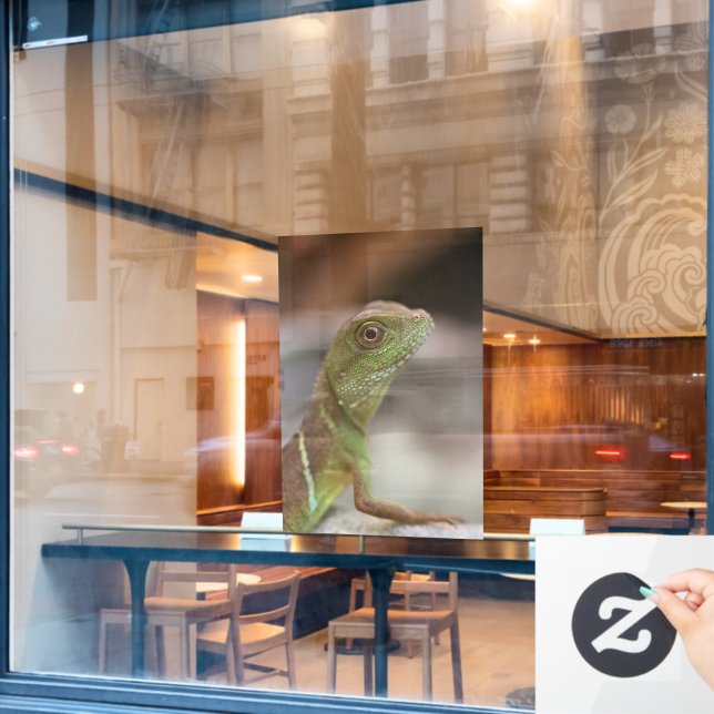 Iguana kiss  (Cafe Window)