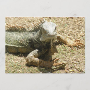 Iguana Lizard Invitation