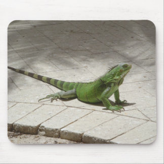 Iguana mousepad