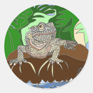 Iguana on a rock classic round sticker