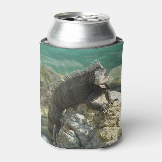 Iguana on the Rocks at St. Thomas Can Cooler (Can Front)