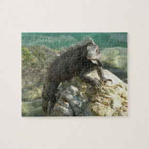 Iguana on the Rocks at St. Thomas Jigsaw Puzzle
