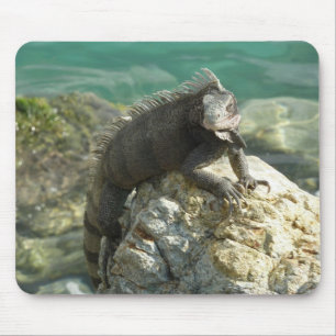 Iguana on the Rocks at St. Thomas Mouse Pad