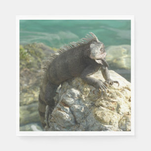 Iguana on the Rocks at St. Thomas Napkin