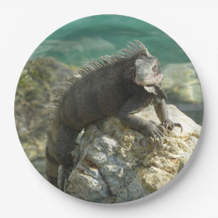 Iguana on the Rocks at St. Thomas Paper Plate