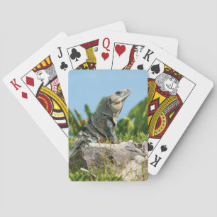 Iguana Playing Cards
