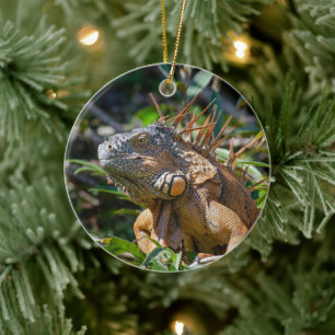 Iguana Portrait, Reptile Among Green Leaves Ceramic Ornament