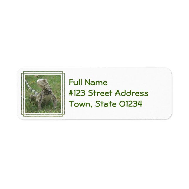 Iguana Return Address Label (Front)