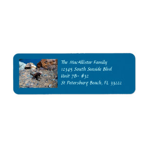 Iguana Return Address Labels