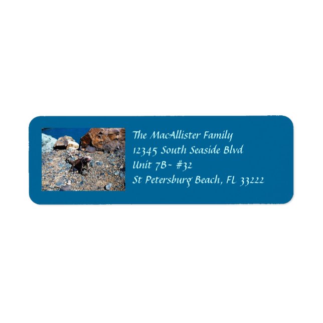 Iguana Return Address Labels (Front)