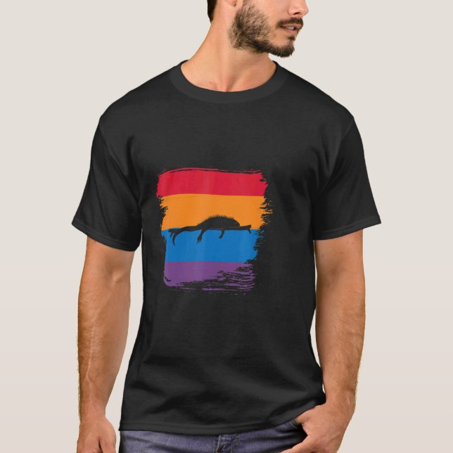 Iguana Shadow Silhouette With Colourful Flag T-Shirt (Front)