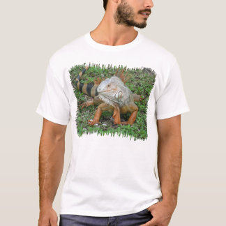 iguana Shirt