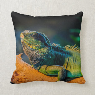 Iguana Square Throw Pillow