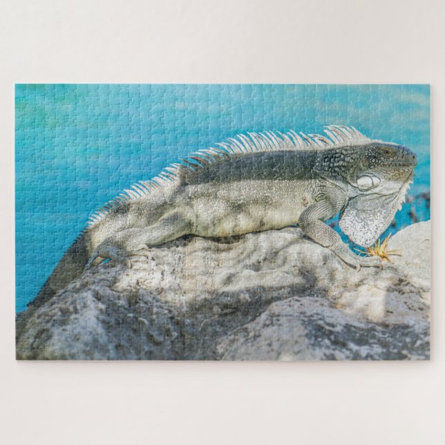 Iguana Sunbathing on Beach Rock Jigsaw Puzzle (Horizontal)