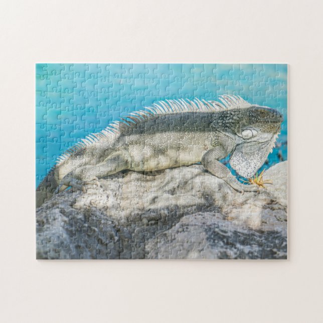 Iguana Sunbathing on Beach Rock Jigsaw Puzzle (Horizontal)