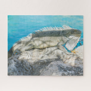 Iguana Sunbathing on Beach Rock Jigsaw Puzzle