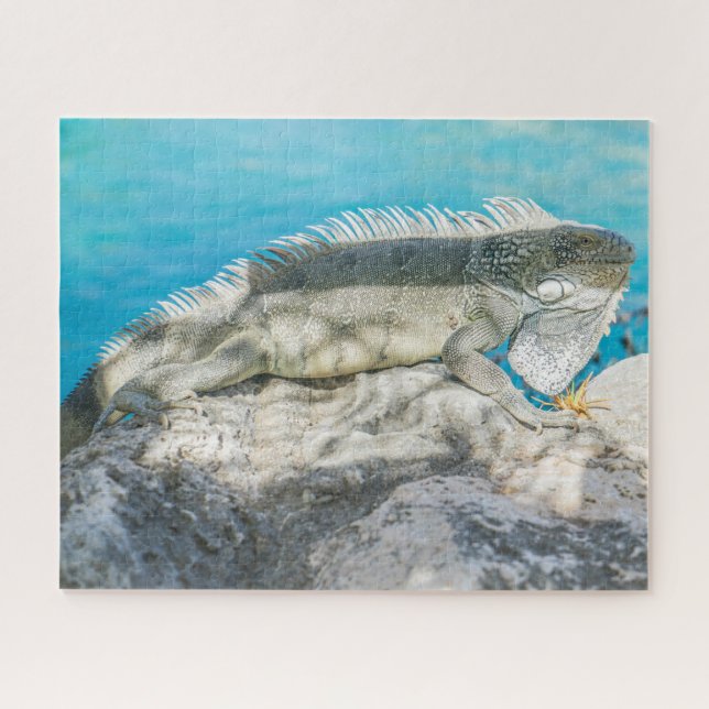 Iguana Sunbathing on Beach Rock Jigsaw Puzzle (Horizontal)