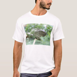 Iguana T-Shirt