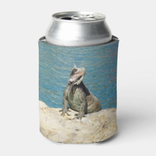 Iguana Tropical Wildlife Photography at St. Thomas Can Cooler