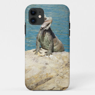 Iguana Tropical Wildlife Photography iPhone 11 Case