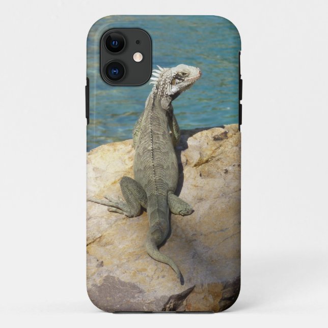 Iguana Tropical Wildlife Photography Case-Mate iPhone Case (Back)