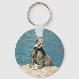Iguana Tropical Wildlife Photography Key Ring