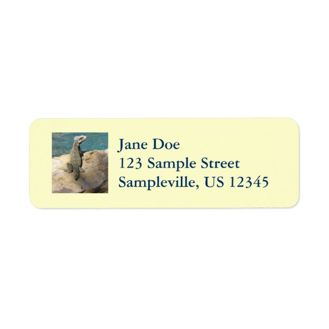 Iguana Tropical Wildlife Photography Return Address Label (Front)