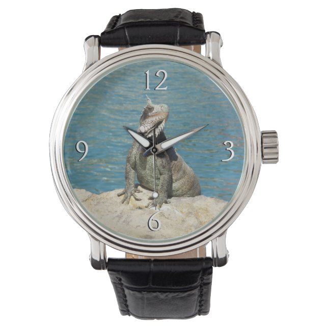 Iguana Tropical Wildlife Photography Watch (Front)