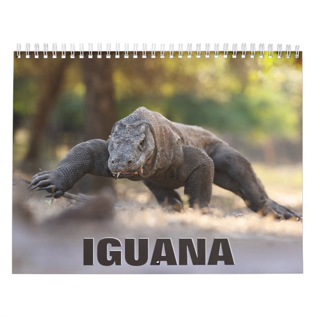 Iguana Wall Calendar (Cover)