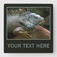 Iguana wall clock
