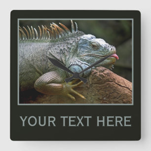 Iguana wall clock