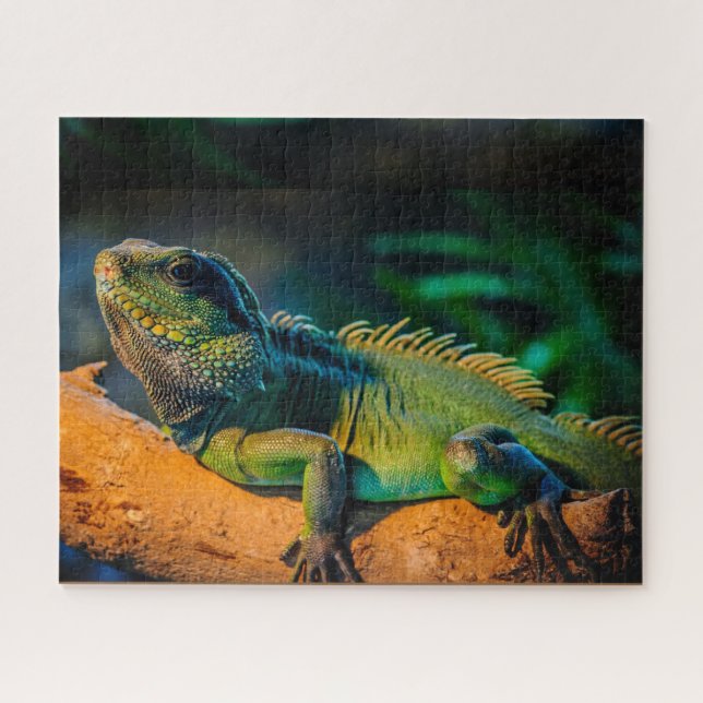 Iguana Wildlife Jigsaw Puzzle (Horizontal)