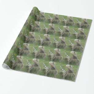Iguanas and Lizards Wrapping Paper