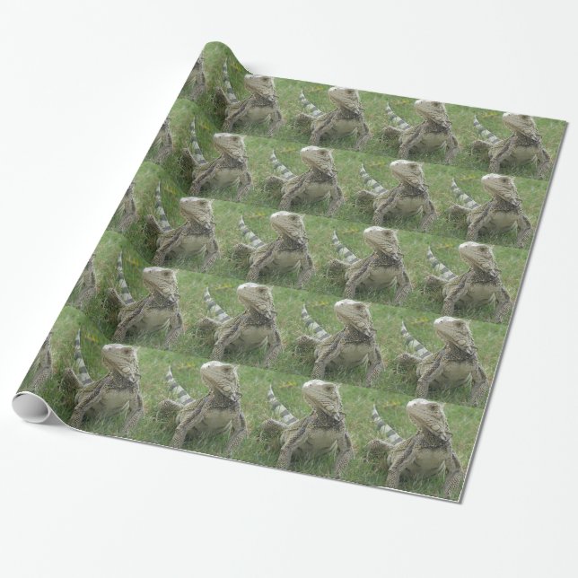 Iguanas and Lizards Wrapping Paper (Unrolled)