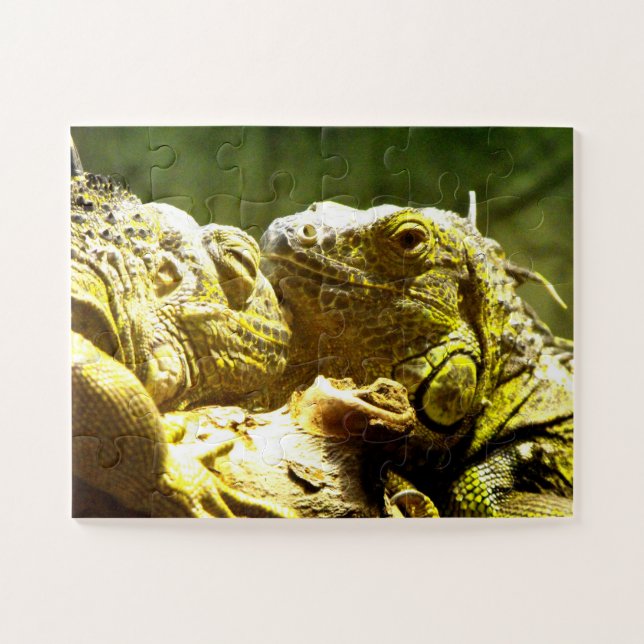 Iguanas Jigsaw Puzzle (Horizontal)