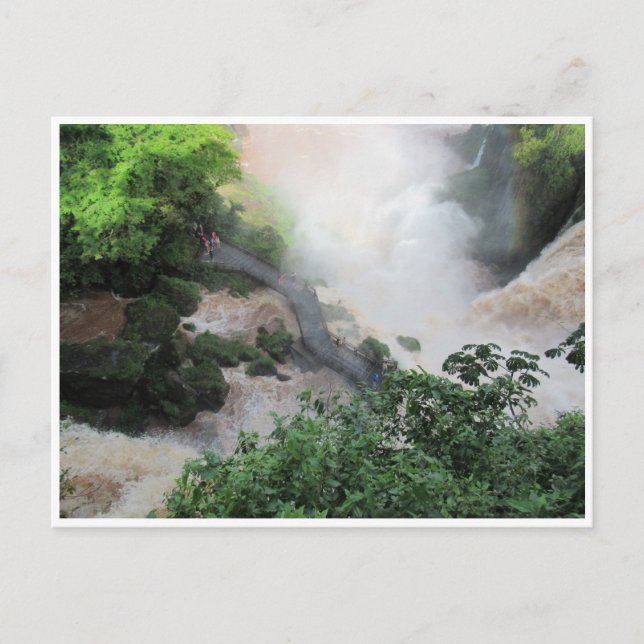 iguazu walkway postcard (Front)