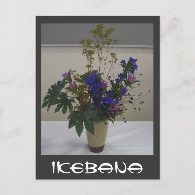 ikebana, Ikebana Postcard (Front)