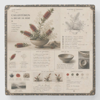 Ikebana Study No. 27 Bottlebrush & Wild Branch Stone Coaster